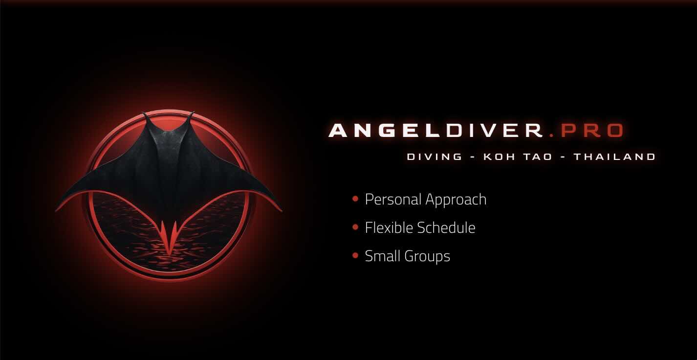 Angel Diver - Polish Scuba Club dive shop in Koh Tao, Thailand Angel Diver - Polish Scuba Club dive shop in Koh Tao, Thailand