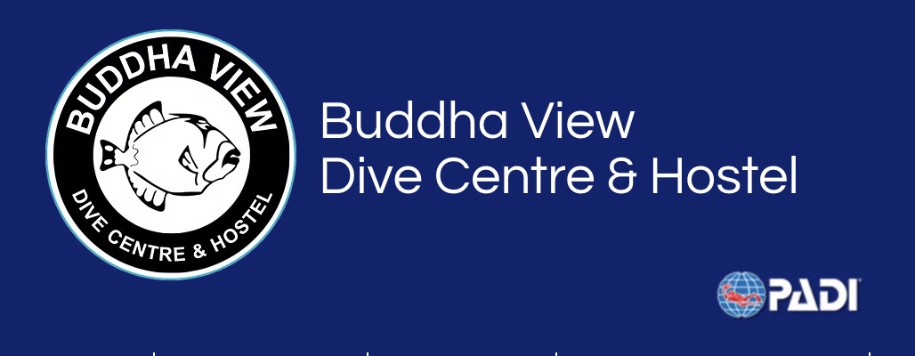 Buddha View Dive Centre - Scuba Diving - Padi Courses - Divemaster Training - IDC dive shop in Koh Tao, Thailand Buddha View Dive Centre - Scuba Diving - Padi Courses - Divemaster Training - IDC dive shop in Koh Tao, Thailand