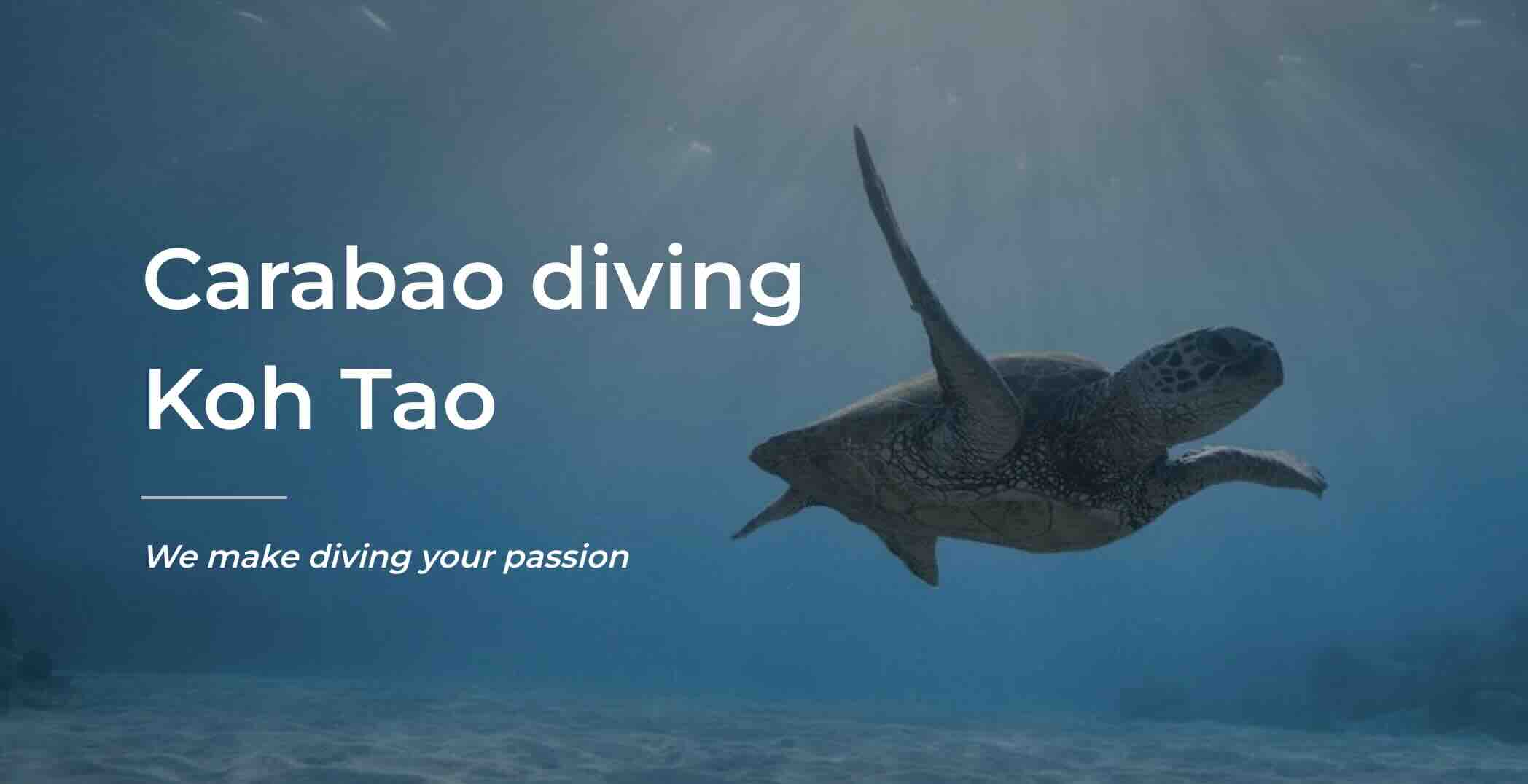 Carabao Dive dive shop in Koh Tao, Thailand Carabao Dive dive shop in Koh Tao, Thailand