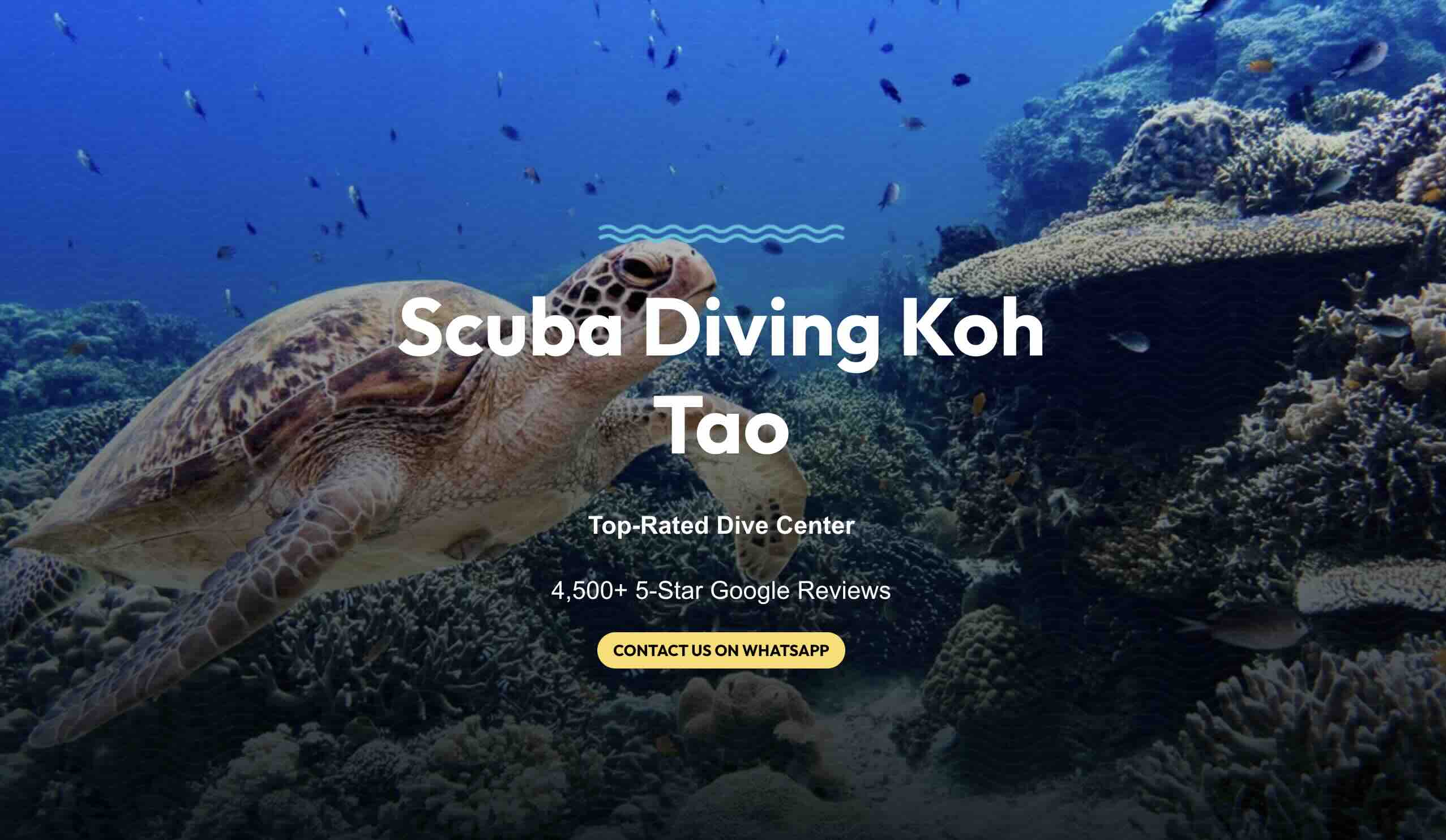DPM Diving Koh Tao dive shop in Koh Tao, Thailand DPM Diving Koh Tao dive shop in Koh Tao, Thailand