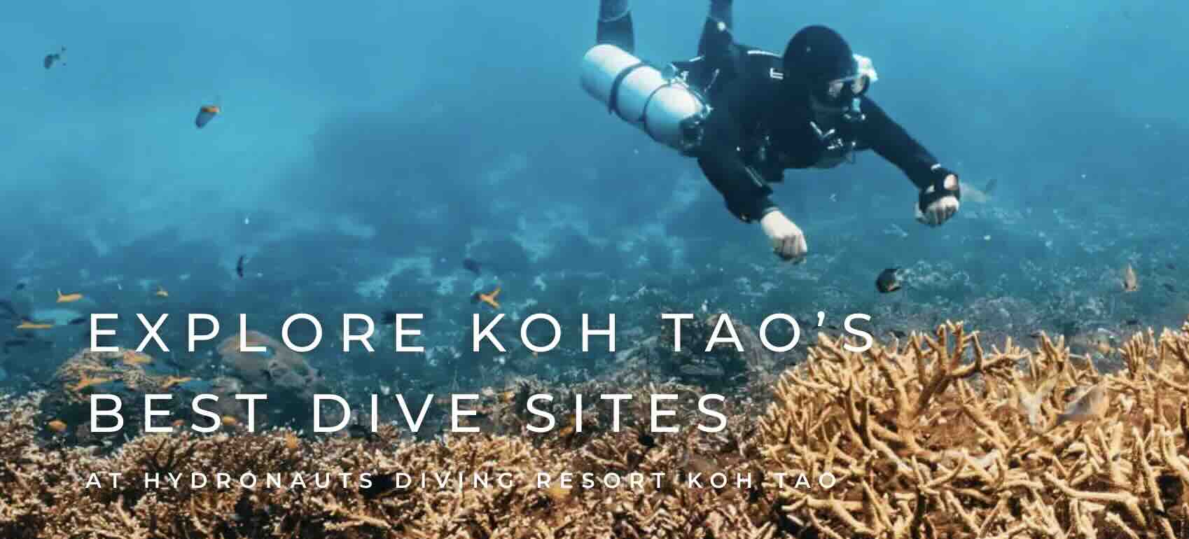 Hydronauts Diving Resort dive shop in Koh Tao, Thailand Hydronauts Diving Resort dive shop in Koh Tao, Thailand