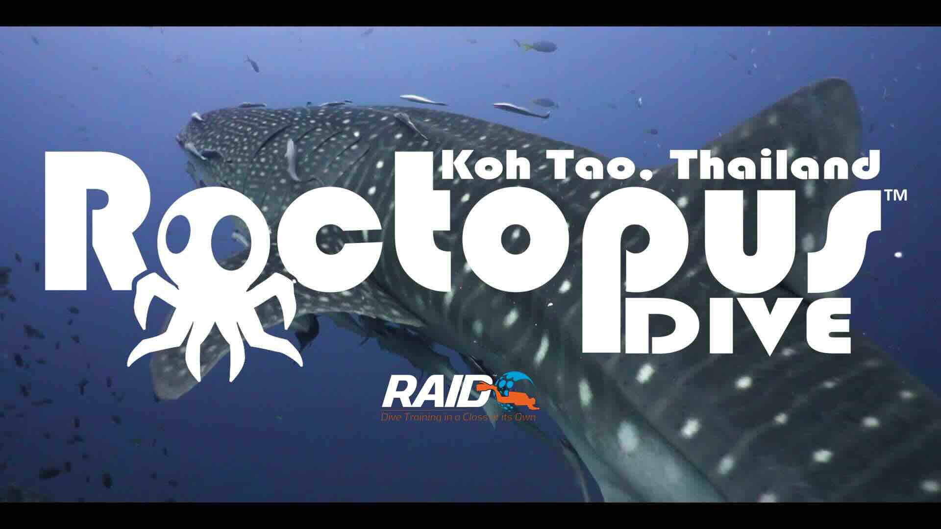 Roctopus™ | Koh Tao Diving Center dive shop in Koh Tao, Thailand Roctopus™ | Koh Tao Diving Center dive shop in Koh Tao, Thailand