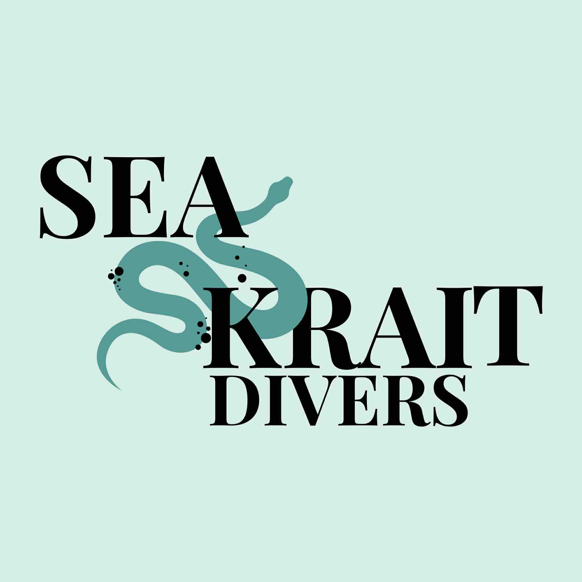 Sea Krait Divers
dive shop in Koh Tao, Thailand Sea Krait Divers
dive shop in Koh Tao, Thailand